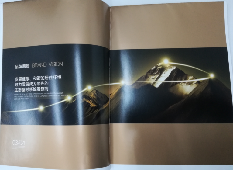 洛迪環?？萍计髽I宣傳畫冊印刷圖2